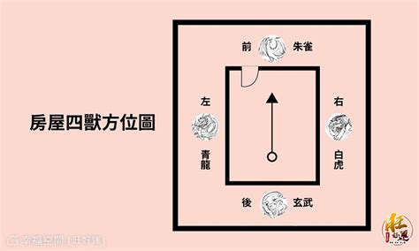 龍邊有路燈|龍邊路燈風水知多少？